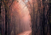 中超历届冠军都有哪些？这份一览表带你全面了解